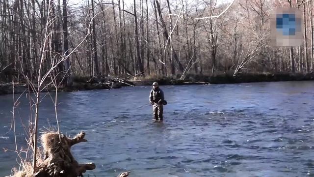 Ловля НАХЛЫСТОМ микижи и кижуча на Камчатке
