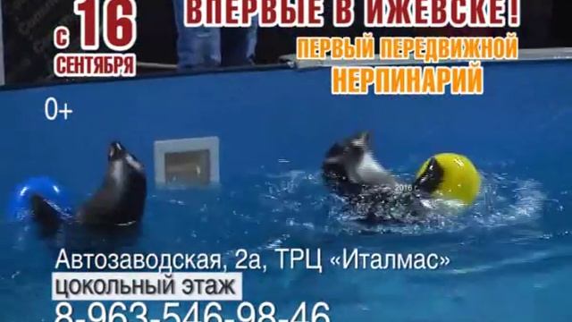 ВОДНОЕ ШОУ БАЙКАЛЬСКИХ НЕРП г. Ижевск смотреть онлайн