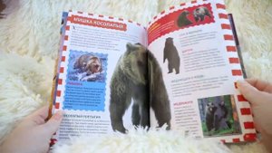 Животные России ?| Популярная детская энциклопедия | Владис