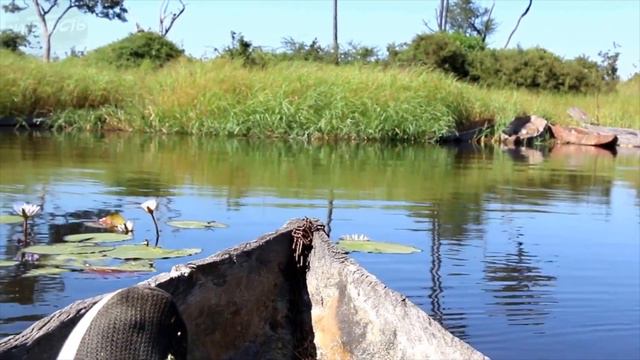 Через Секунду Нападет Бегемот! После Этого Видео, Вы Будете Держаться от них Подальше! смотреть онлайн