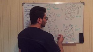 Аномальный дренаж легочных вен (АДЛВ), Anomaly pulmonary venous return (APVR)