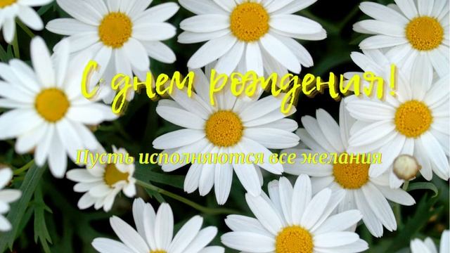 Музыкальная открытка С днем рождения! Цветы ромашки