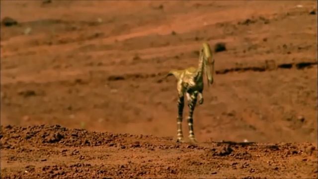 Что если ты попадешь в Эпоху Динозавров? смотреть онлайн