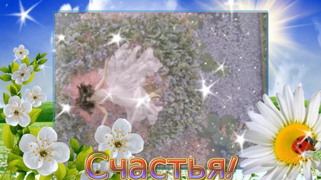 МОЯ ЛЮОВЬ Исполнил : Валерий Грачунов Музыка : Виктора Киселева смотреть онлайн