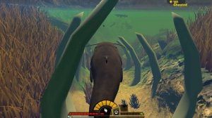 СОМ ПРОГЛОТИЛ ВСЕХ РЫБ, ОБНОВЛЕНИЕ! | Feed and Grow Fish