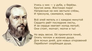 «Учись у них - у дуба, у березы» А. Фет. Анализ стихотворения