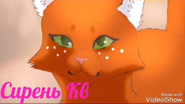 Коты воители ~The Resistance ~ смотреть онлайн