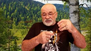 Отвечаю на ваши вопросы Охотничьи собаки