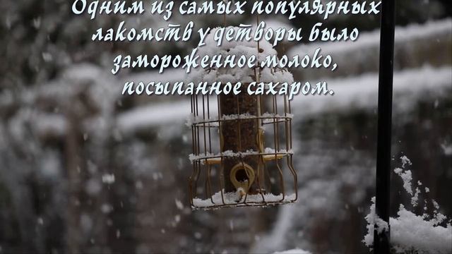 16 ноября/Анна Холодная/ТРАДИЦИИ и Приметы/Народный праздник/Народный КАЛЕНДАРЬ/Что нельзя делать
