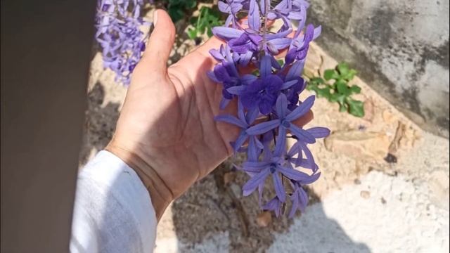 Где живут сказочники смотреть онлайн