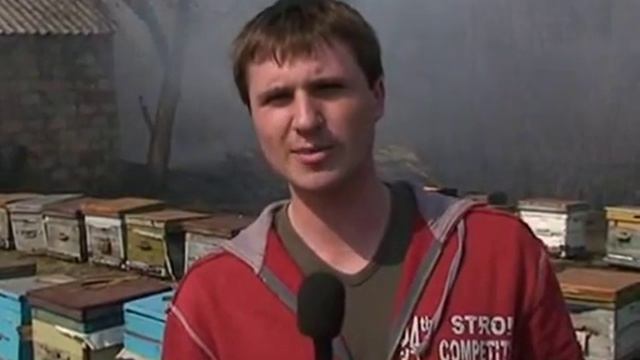 Лесные пожары смотреть онлайн