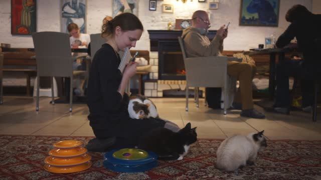 КОТИССИМО: Самое большое котокафе Москвы