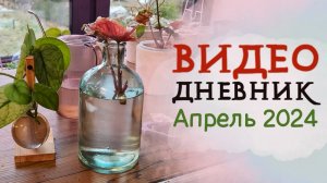 ВИДЕОДНЕВНИК цветовода | Апрель 2024 | Распаковка закупки из Тайланда! 💚 БУДНИ ЦВЕТОВОДА