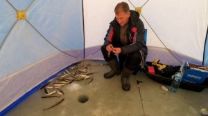 Приморский край Рыбалка в устьях  Майхе навага. Обогрев палатки. Full HD