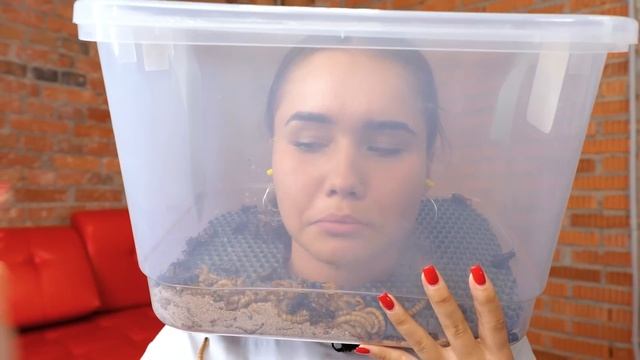 МОЛЧИ, ЧТОБЫ ВЫЖИТЬ. МАРУСЯ СХВАТИЛАСЬ ЗА СЕРДЦЕ!! ГОЛЫШЕВА, АСТЕР, SLEEPY, ДАНИЛОВА. ТИХИЙ ЧЕЛЛЕНД