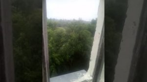 Шуршит занудно Дождик моросящий... Душа Моя В тревоге И тоске...