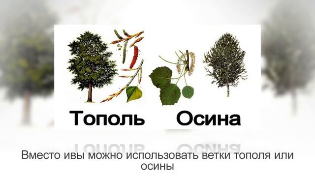 Как приготовить натуральный СТИМУЛЯТОР РОСТА КОРНЕЙ | КОРНЕВИН своими руками | Различные рецепты
