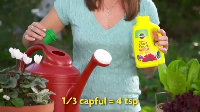 How to Use Miracle-Gro® Liquid All Purpose Plant Food Concentrate смотреть онлайн