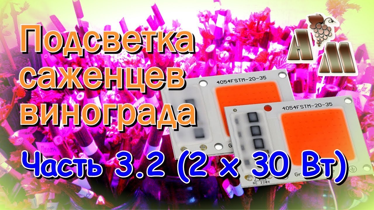 ? Светодиодная подсветка саженцев винограда. Часть  3.2 - Светодиодные чипы (2 по 30 Вт)