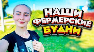 Хлопоты по хозяйству и Продолжение покоса. Наши Фермерские Будни | Молодая Ферма