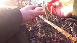 Ловля карася на поплавок весной. Рыбалка на маховую удочку 2019.