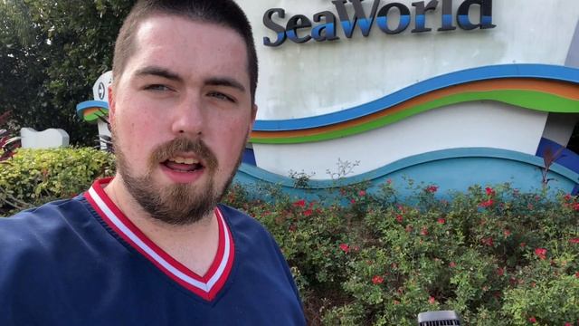 Ep. 82 - SeaWorld: Shamu’s Deep Sea Adventures смотреть онлайн