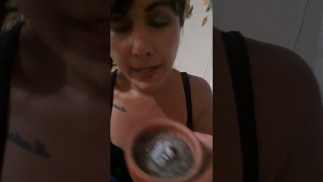 Mi Echeveria Laui смотреть онлайн