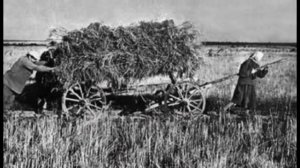 ?Скажи председатель ?(СОВЕРШЕННО НОВОЕ ИСПОЛНЕНИЕ-читает НАДЕЖДА ФЕСАЙ