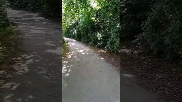 как находиться в моменте "здесь и сейчас". практика смотреть онлайн