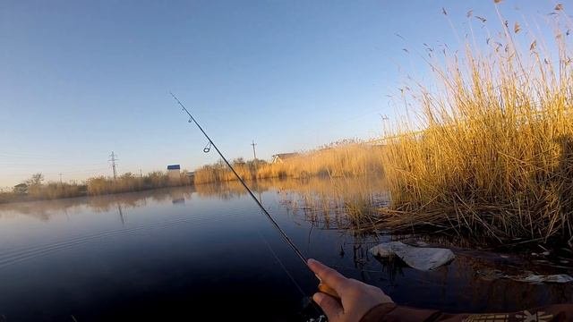 Самарский окунь, движение белой рыбы на нерест   наноджиг,микроджиг,мормышинг,мормодроч