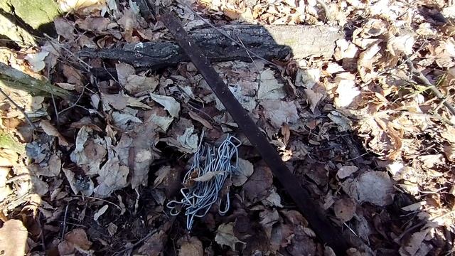 Поиск с металлоискателем