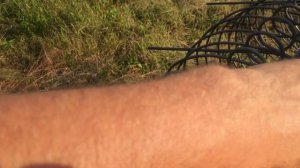 Граблі до трактора своїми руками. Грабалка сіна, соломи мінітрактором ДТЗ 5244 HPX