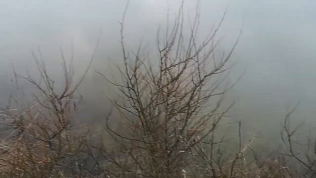 23 февраля 2022 г.mp4