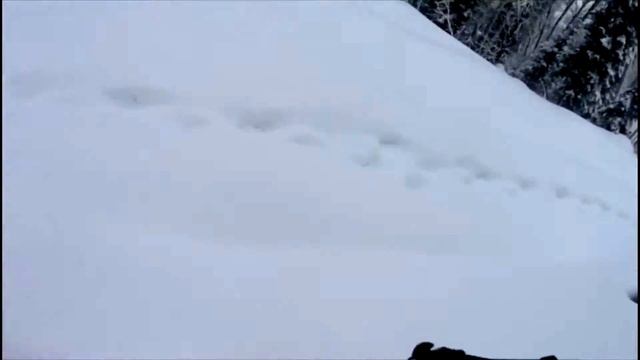 ГК Телецкий фрирайд гора Кокуя #TeletSki 3.03.2018 смотреть онлайн