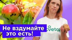 ЕСТЬ ЗАПРЕЩЕНО! ТАКИЕ ЯБЛОКИ И ГРУШИ ОПАСНЫ ДЛЯ ЗДОРОВЬЯ! Вот как опознать опасный фрукт