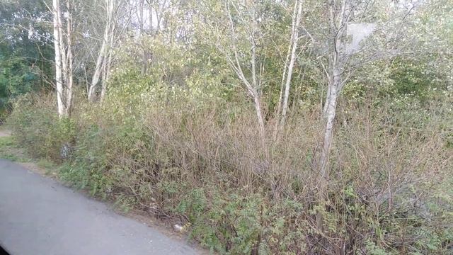 АВТОБУС 494. СТАНЦИЯ БЕЛООСТРОВ - 2 ОЗЕРО. смотреть онлайн