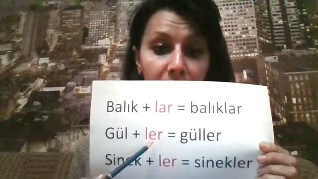 Большой Закон Гармонии Гласных в Турецком Языке