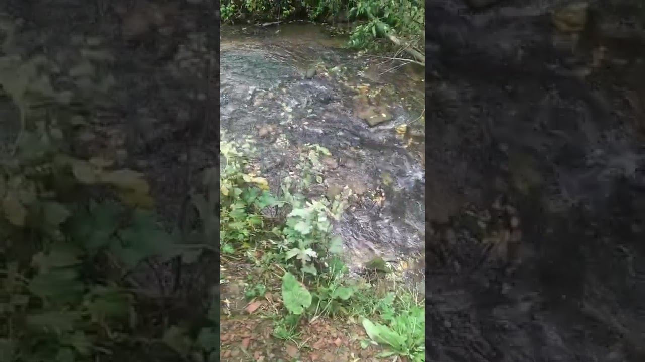 23 сентября 2022 г. смотреть онлайн