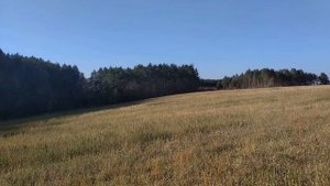 Останній укіс трави Т-25 + прицеп ТАПЗ-755 Огляд красивих місць