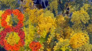 СКАЗОЧНО КРАСИВОЕ ПОЗДРАВЛЕНИЕ С 8 МАРТА ! С женским днем 8 марта ! Видео открытка