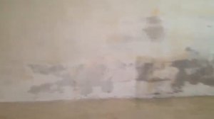 Ремонт квартир в Москве, удаление плесени и грибка с стен