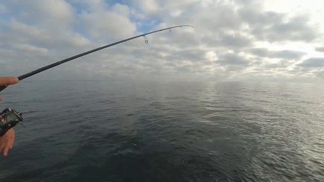 Морская рыбалка. Ловим саргана на Одесском пляже. Рыбалка на Черном море. Ловля саргана на бомбарду