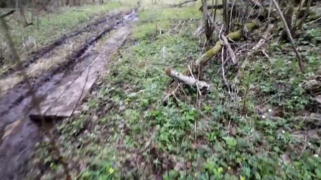 Большая Валдайская тропа