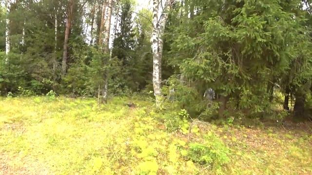 Хочу пожрать - Отправились за грибами в лес в медицинских костюмах смотреть онлайн