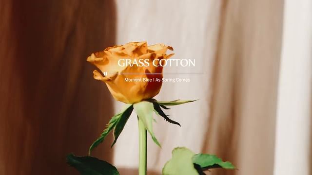 Фортепианная музыка по мотивам японских мультфильмов. Музыка для создания атмосферы, настроения. смотреть онлайн