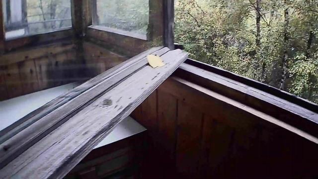 Обзор экшн-камеры Digma DiCam 240.Сравнение с телефоном. смотреть онлайн