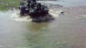 после дождичка на квадре РЫСЬ 2