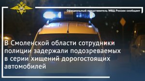 В Смоленской области сотрудники полиции задержали подозреваемых в серии хищений автомобилей