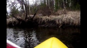 Пакрафт Синица сплав