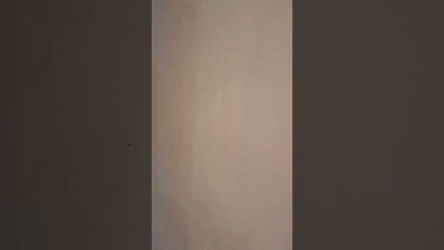 ЖК "Молодежный, Литер 40, вид ремонта, ход строительства. смотреть онлайн